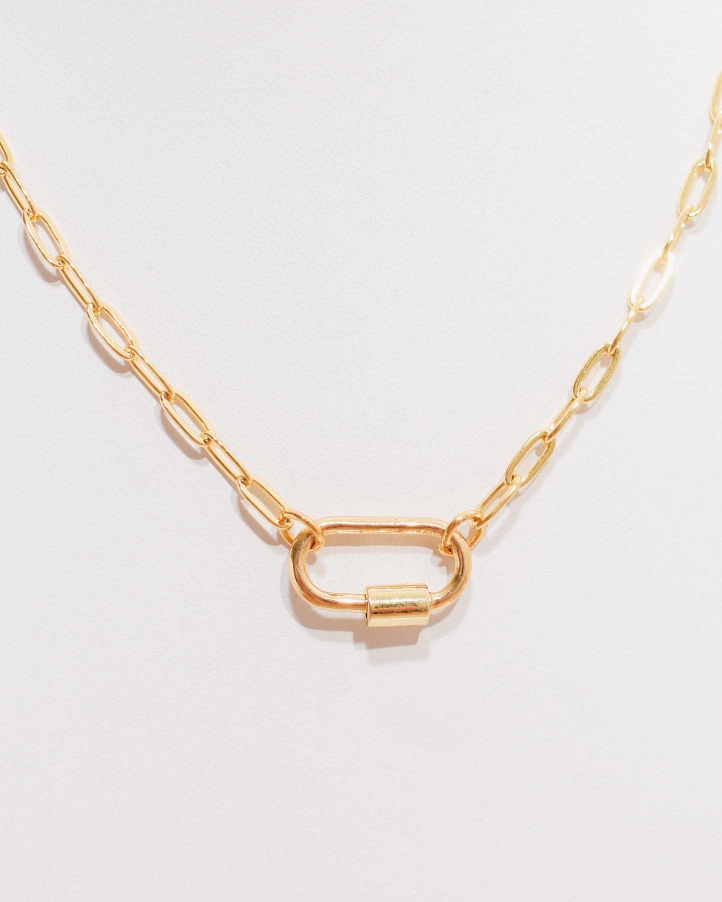 Small Carabiner Screw Paperclip Necklace