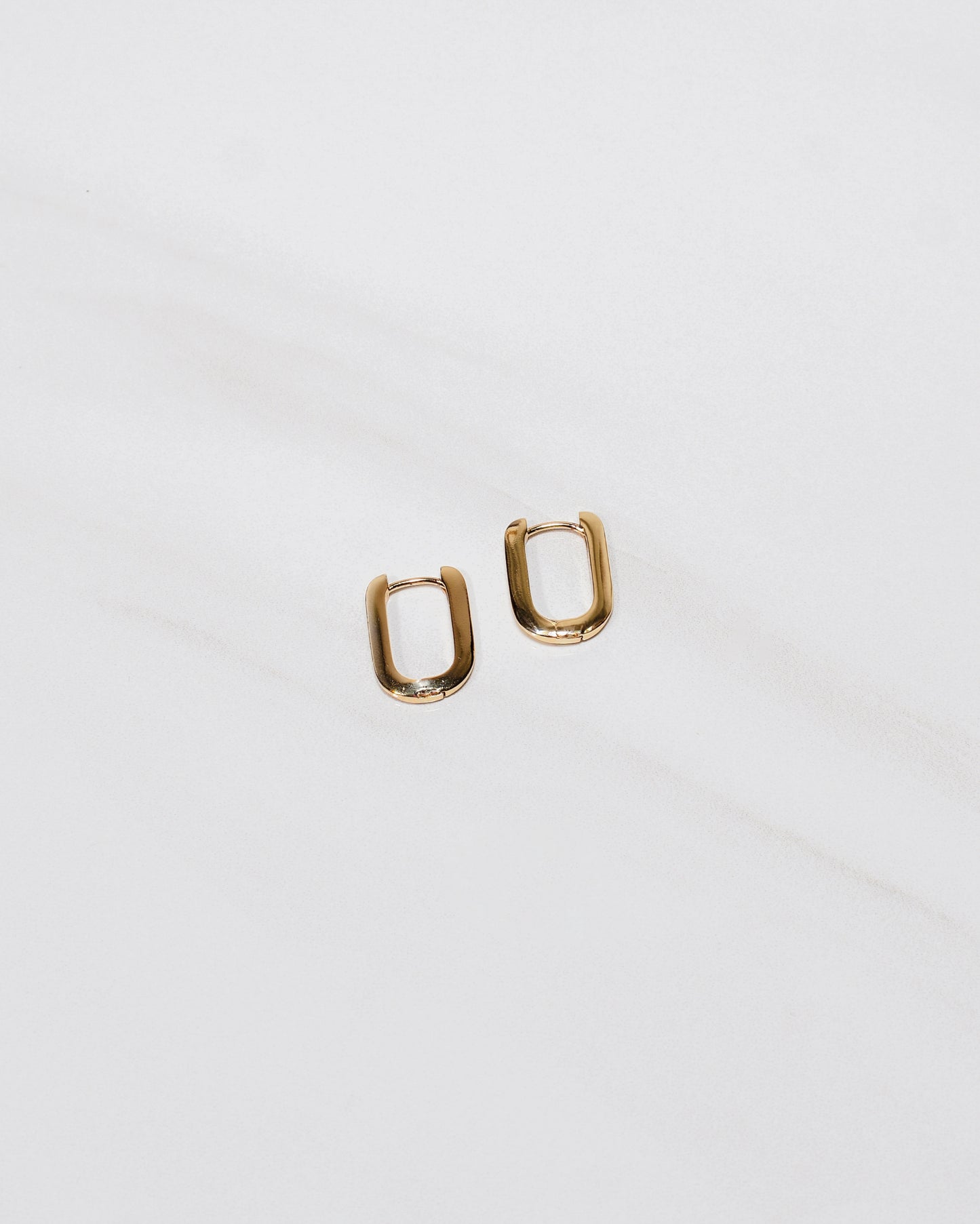 U-Shaped Clasp Earrings